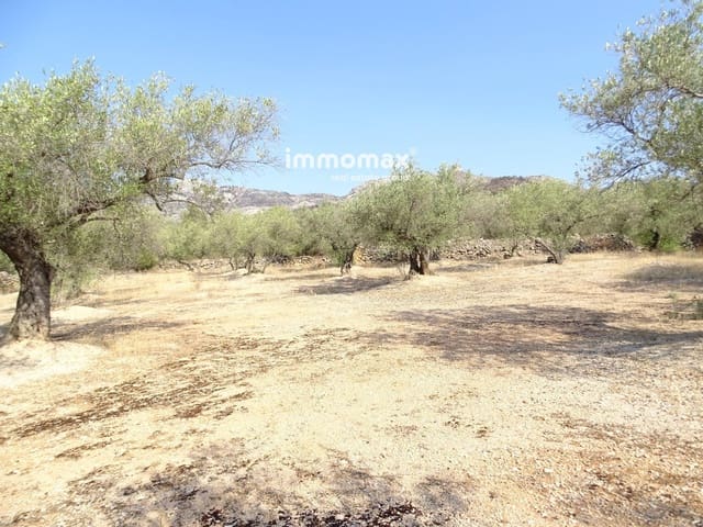 Undeveloped Land for sale in Xerta - € 17,000 (Ref: 9328626)