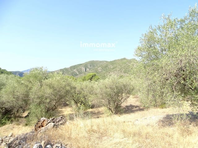 Undeveloped Land for sale in Xerta - € 17,000 (Ref: 9328626)