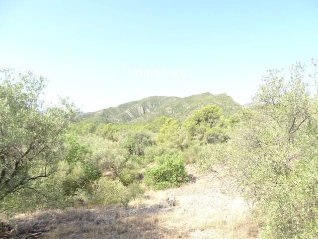 Undeveloped Land for sale in Xerta - € 17,000 (Ref: 9328626)