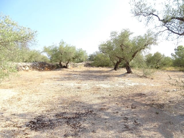 Undeveloped Land for sale in Xerta - € 17,000 (Ref: 9328626)