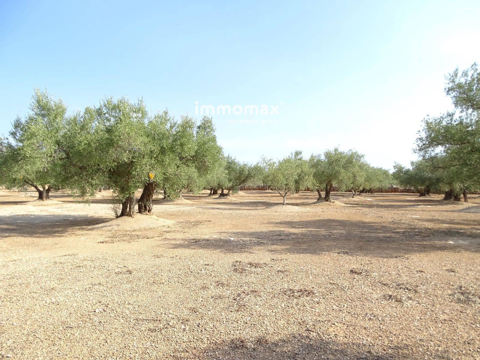 Grond te koop in Aldover - € 29.000 (Ref: 9328628)