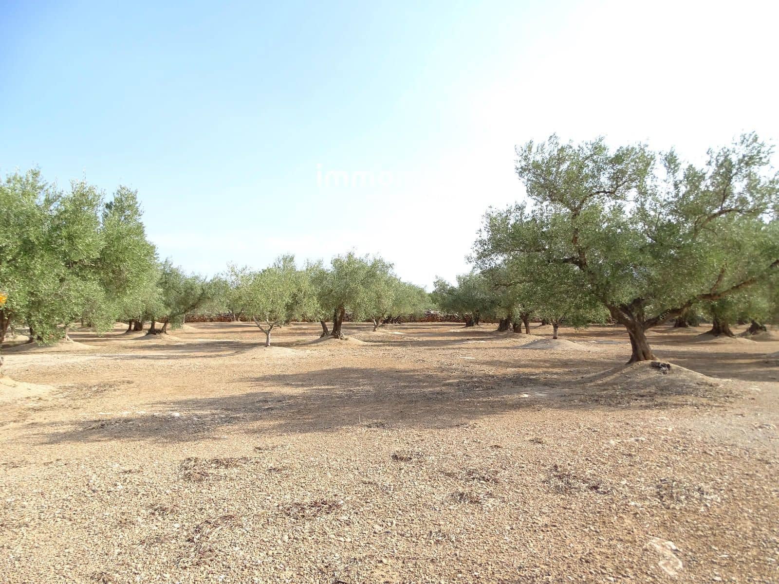 Grond te koop in Aldover - € 29.000 (Ref: 9328628)