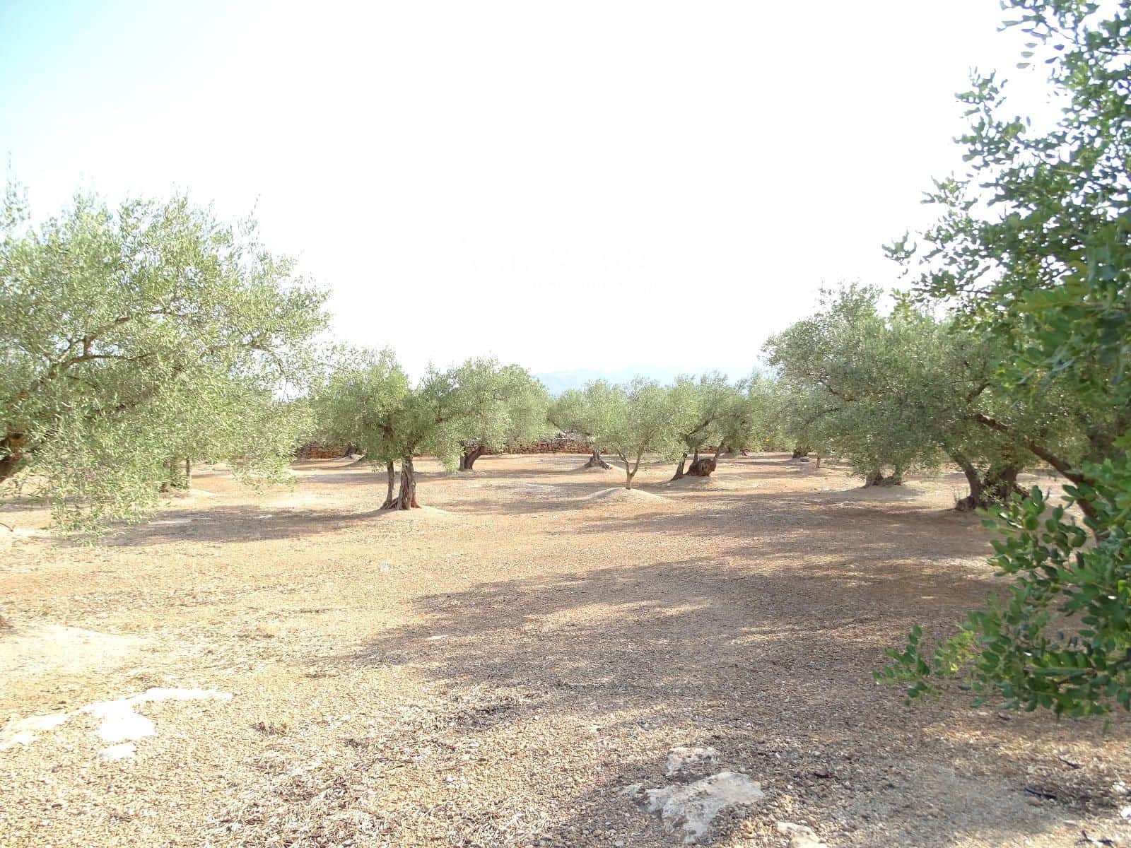 Grond te koop in Aldover - € 29.000 (Ref: 9328628)