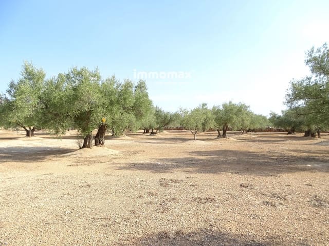 Grond te koop in Aldover - € 29.000 (Ref: 9328628)