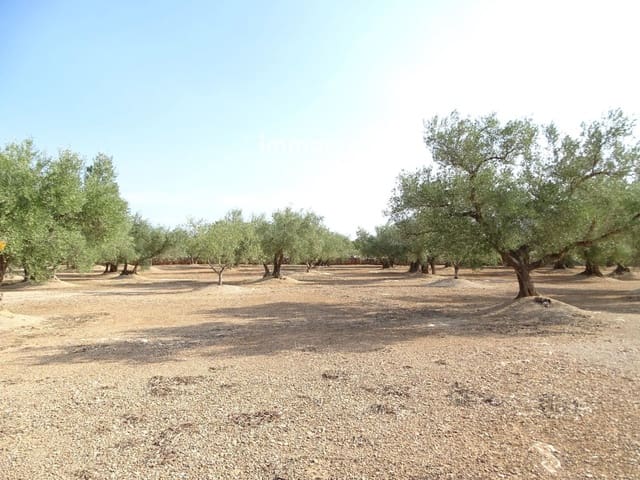 Grond te koop in Aldover - € 29.000 (Ref: 9328628)