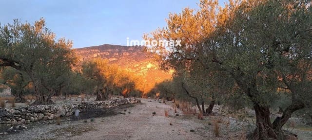 Terreno Não Urbanizado para venda em Roquetes - 45 000 € (Ref: 9378303)