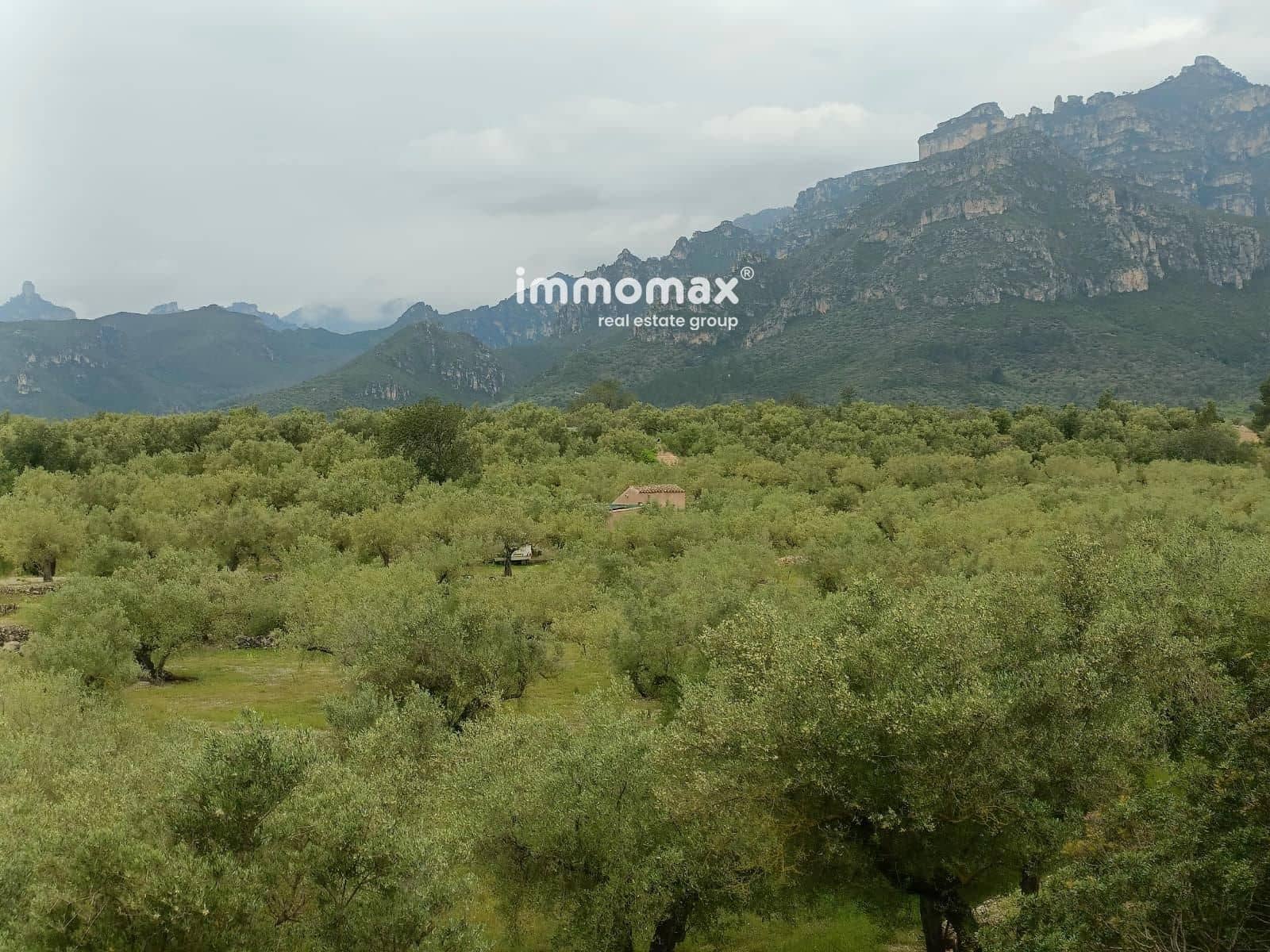 Ubebygd land til salgs i Roquetes - € 65 000 (Ref: 9379513)
