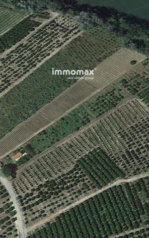 Undeveloped Land for sale in Xerta - € 90,000 (Ref: 9384833)