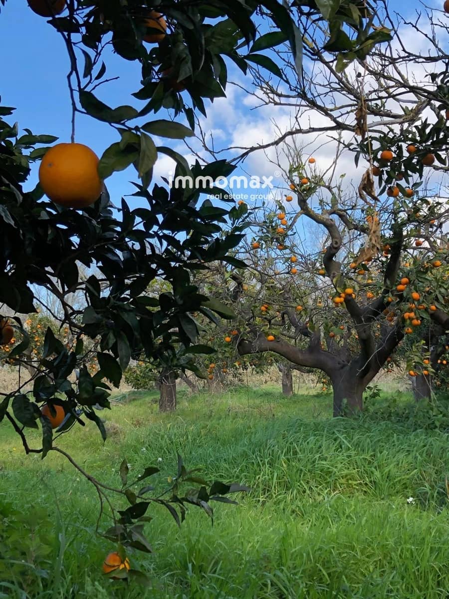 Terre non Aménagée à vendre à Xerta - 90 000 € (Ref: 9384833)