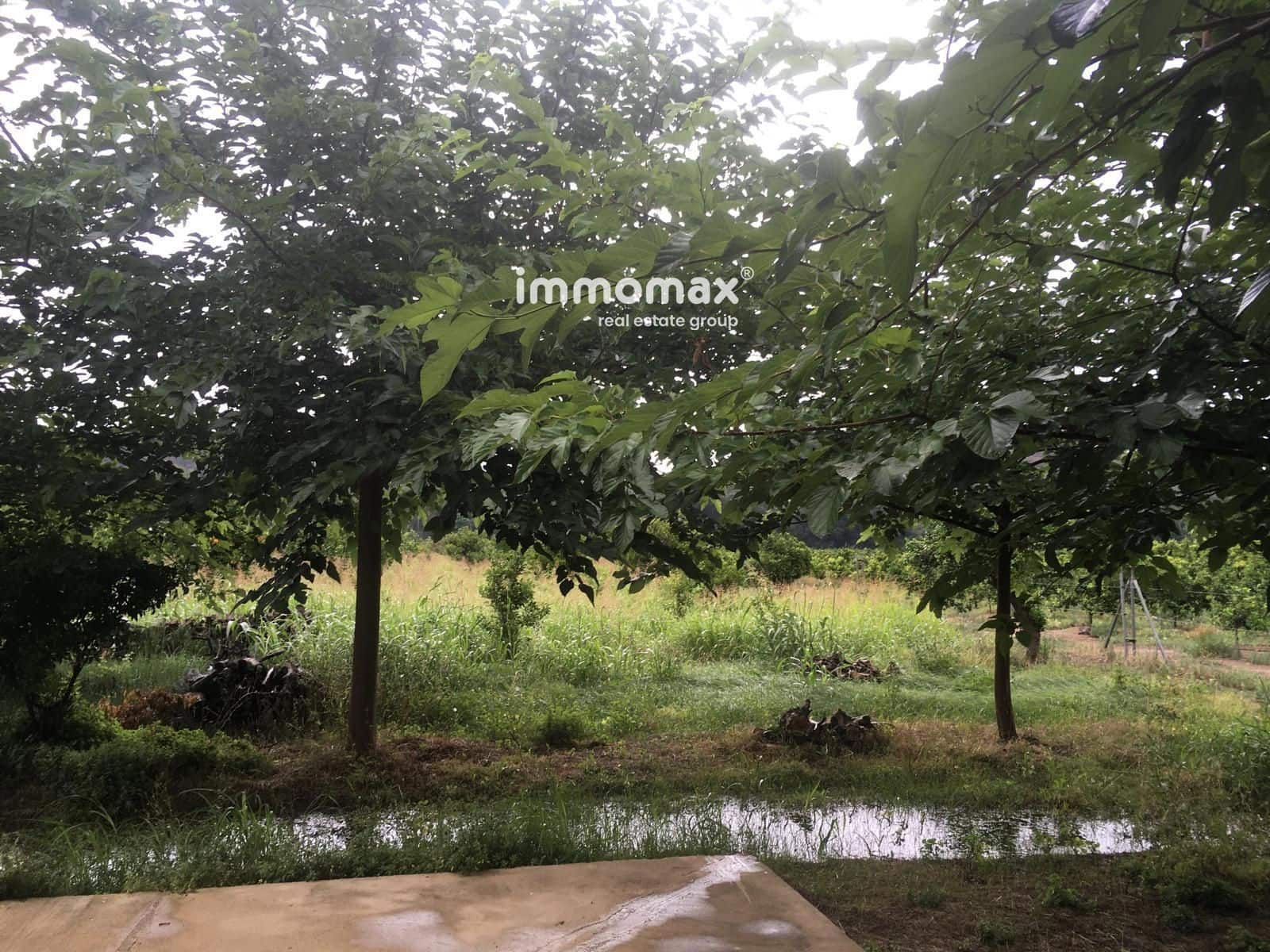 Terre non Aménagée à vendre à Xerta - 90 000 € (Ref: 9384833)