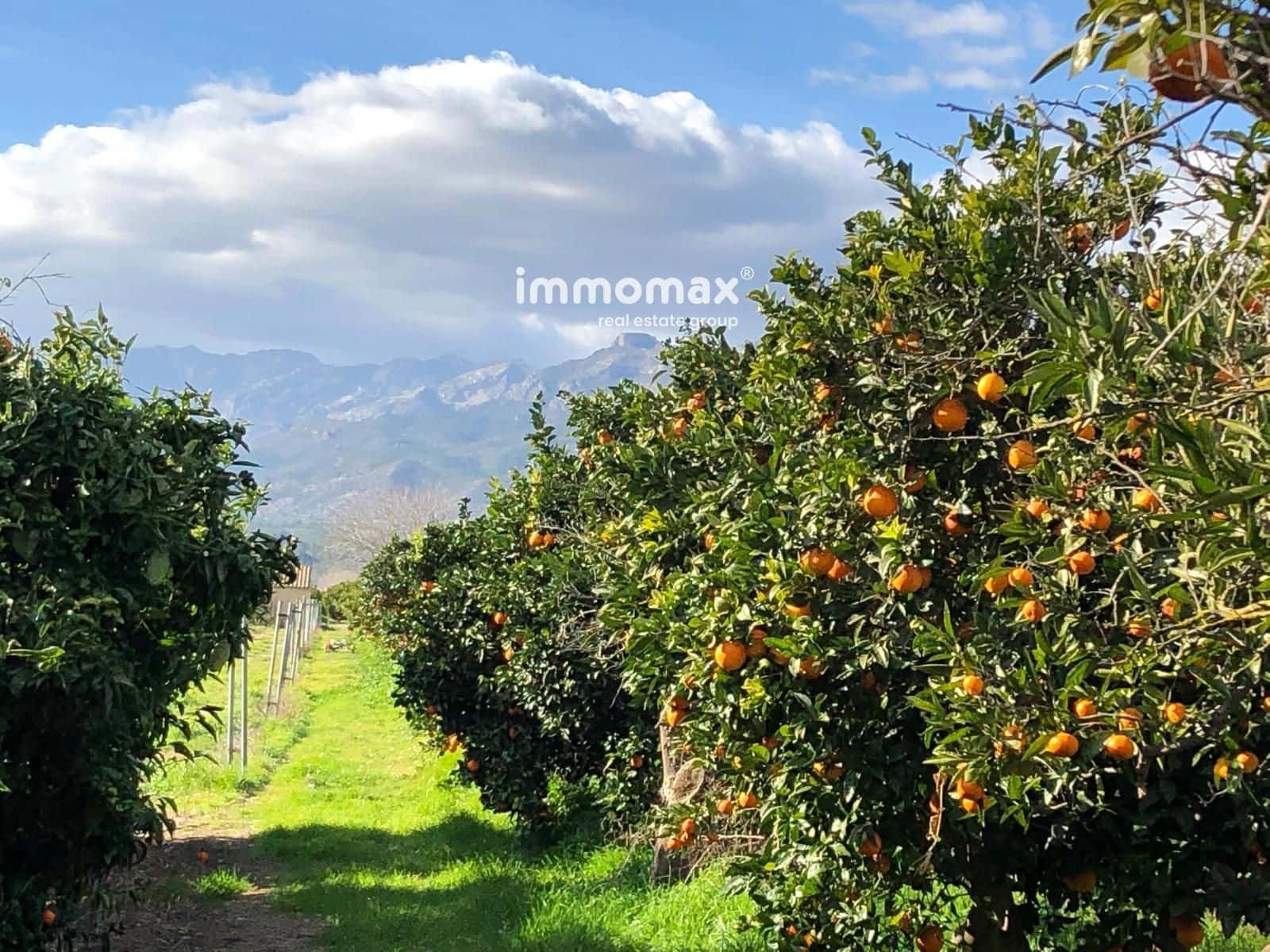 Terre non Aménagée à vendre à Xerta - 90 000 € (Ref: 9384833)