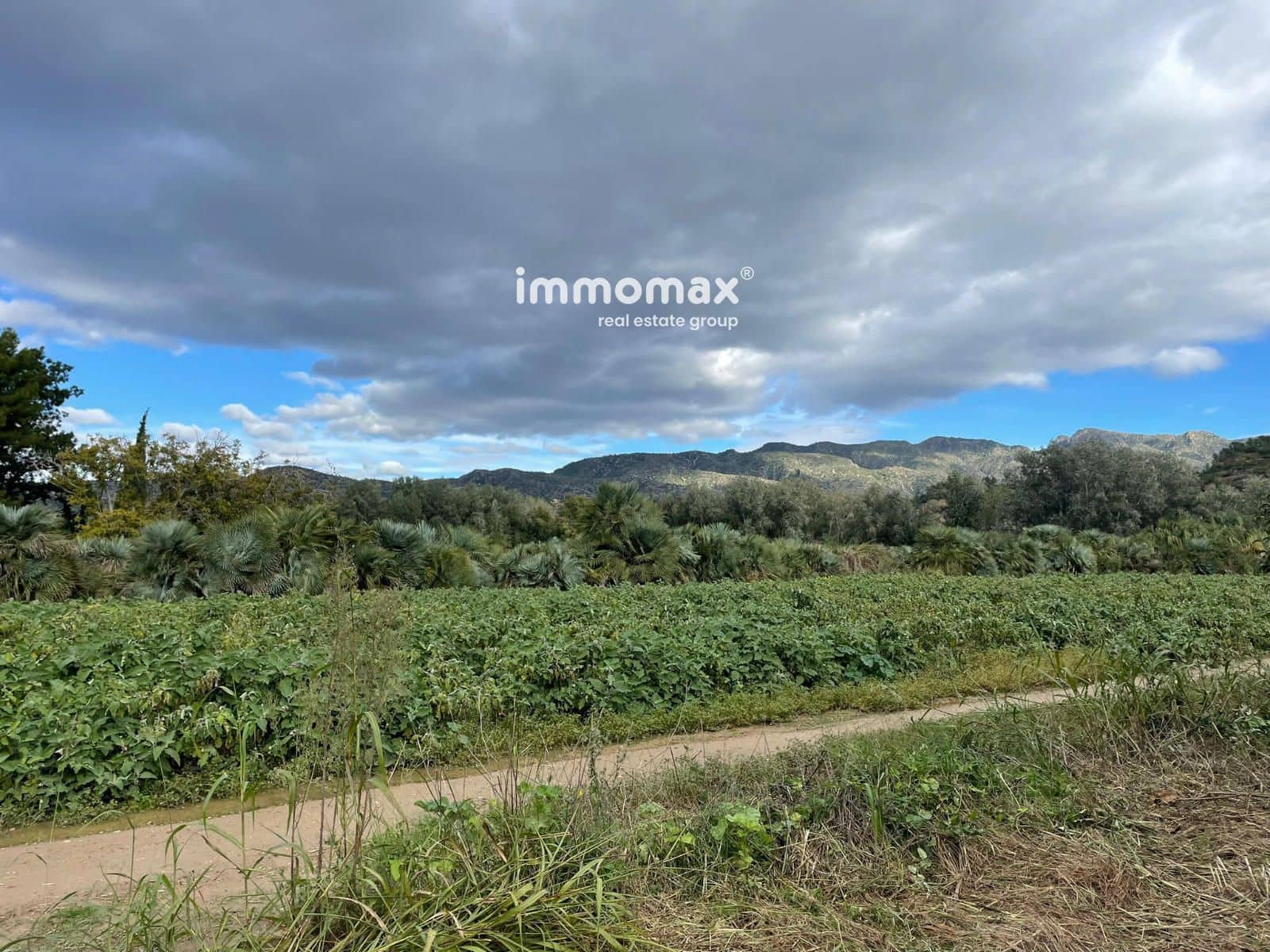 Terre non Aménagée à vendre à Xerta - 90 000 € (Ref: 9384833)