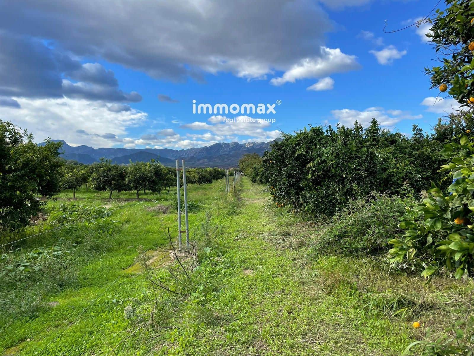 Terre non Aménagée à vendre à Xerta - 90 000 € (Ref: 9384833)