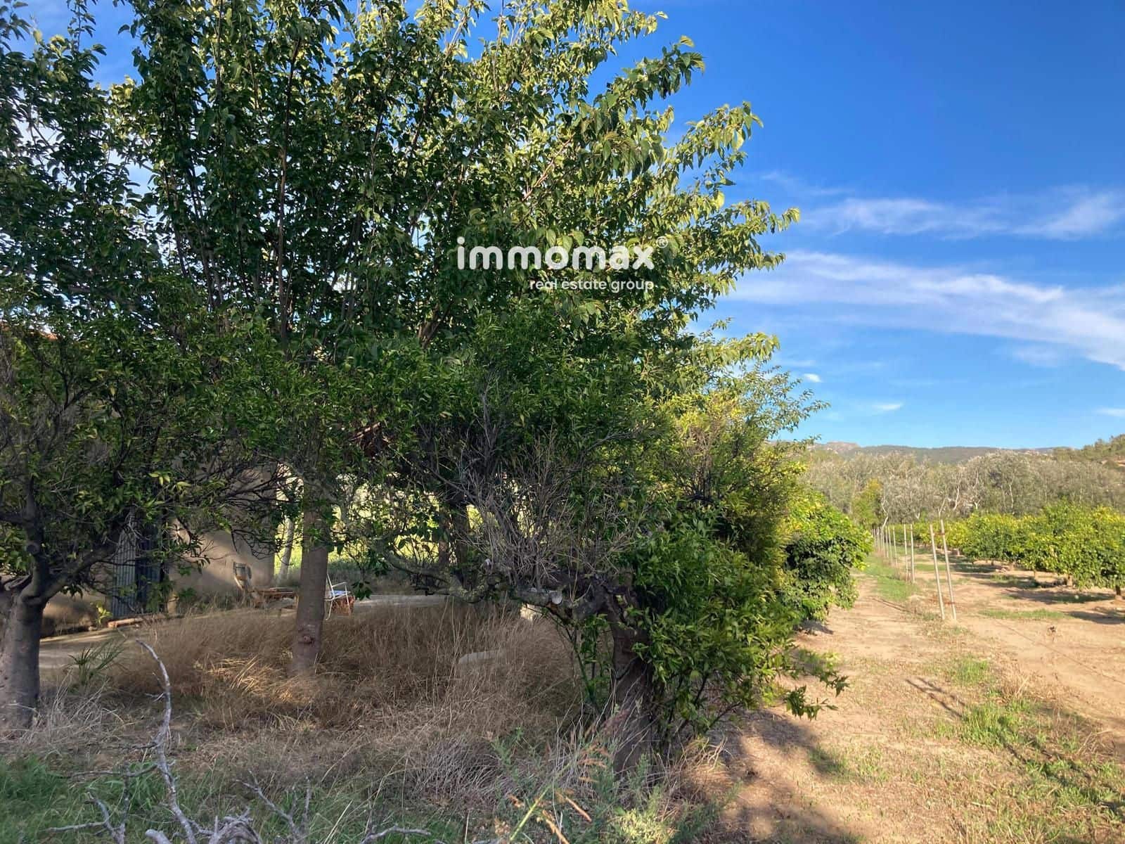 Terre non Aménagée à vendre à Xerta - 90 000 € (Ref: 9384833)