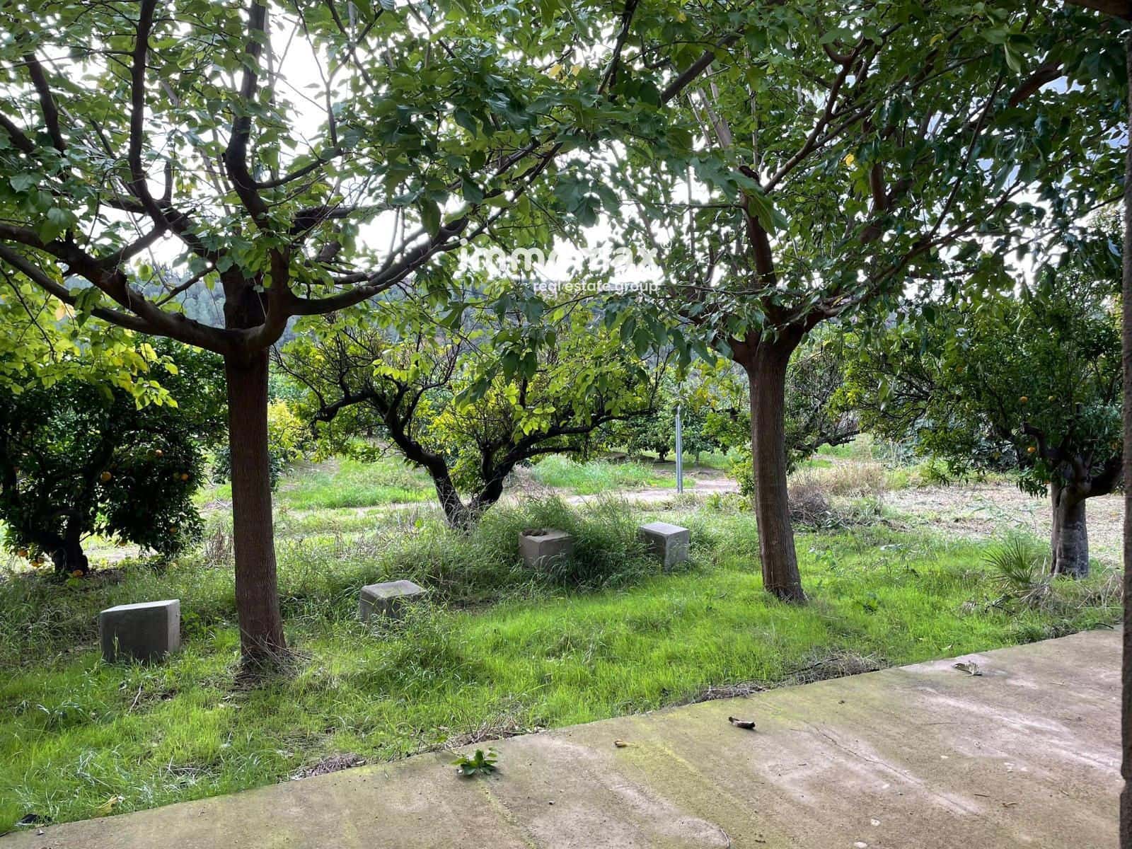 Terre non Aménagée à vendre à Xerta - 90 000 € (Ref: 9384833)