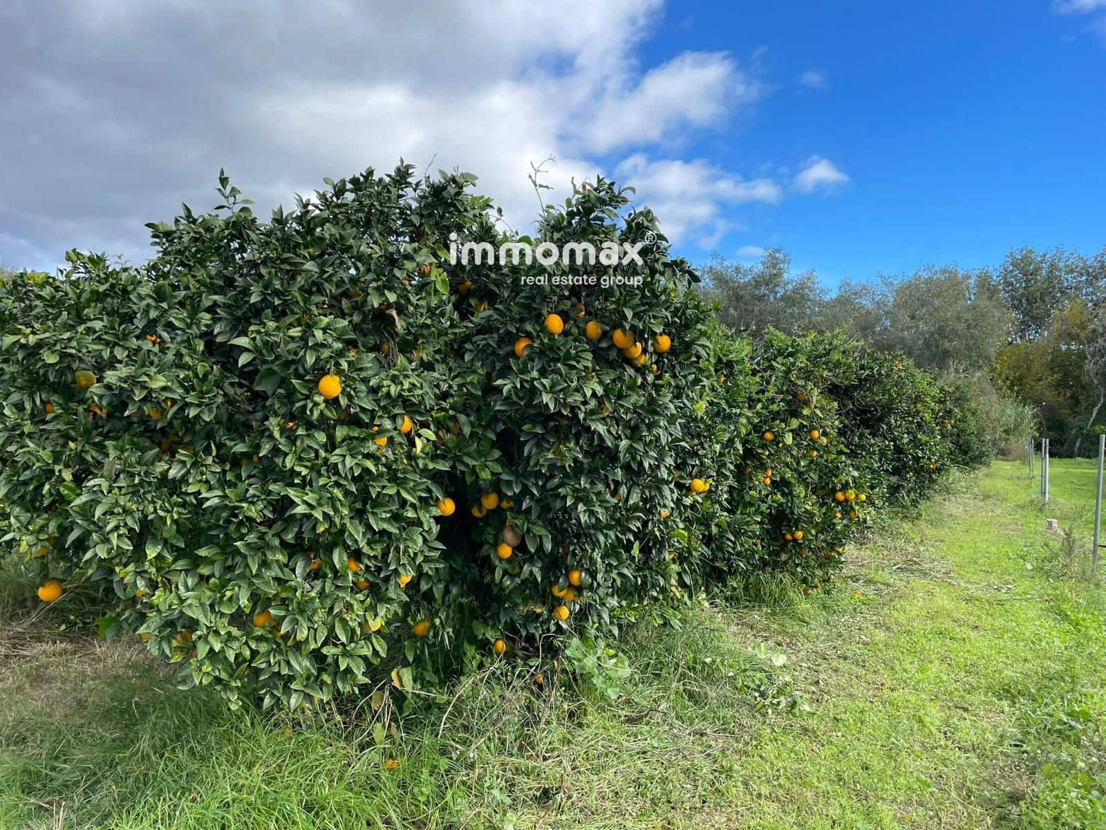 Terre non Aménagée à vendre à Xerta - 90 000 € (Ref: 9384833)