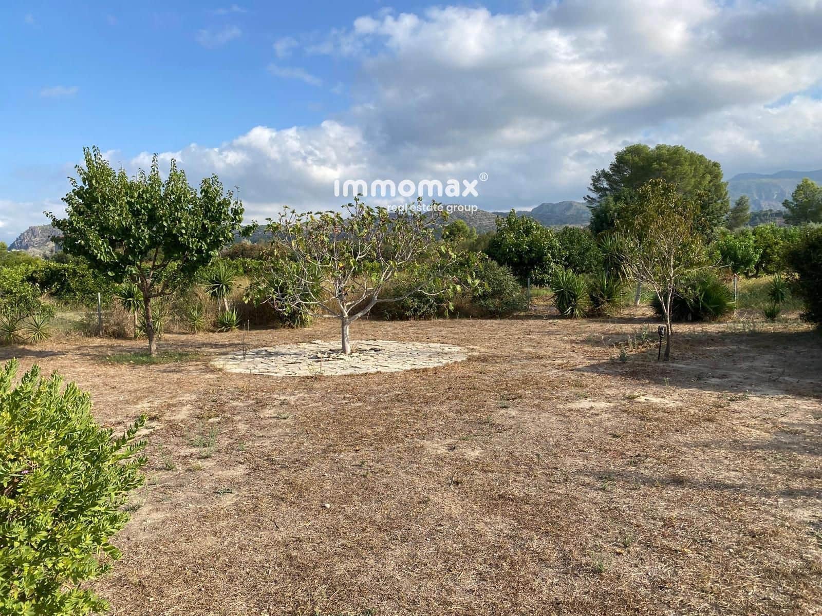 Terreno/Finca Rústica en Xerta en venta - 139.000 € (Ref: 9394277)