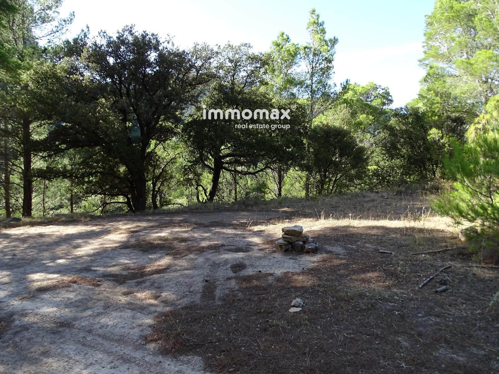 Ubebygd land til salgs i Pauls - € 66 000 (Ref: 9396739)