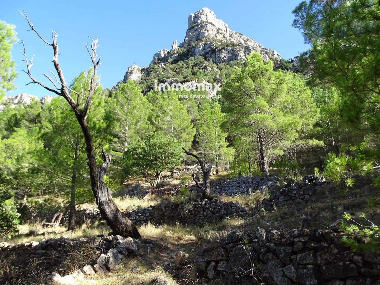 Ubebygd land til salgs i Pauls - € 66 000 (Ref: 9396739)