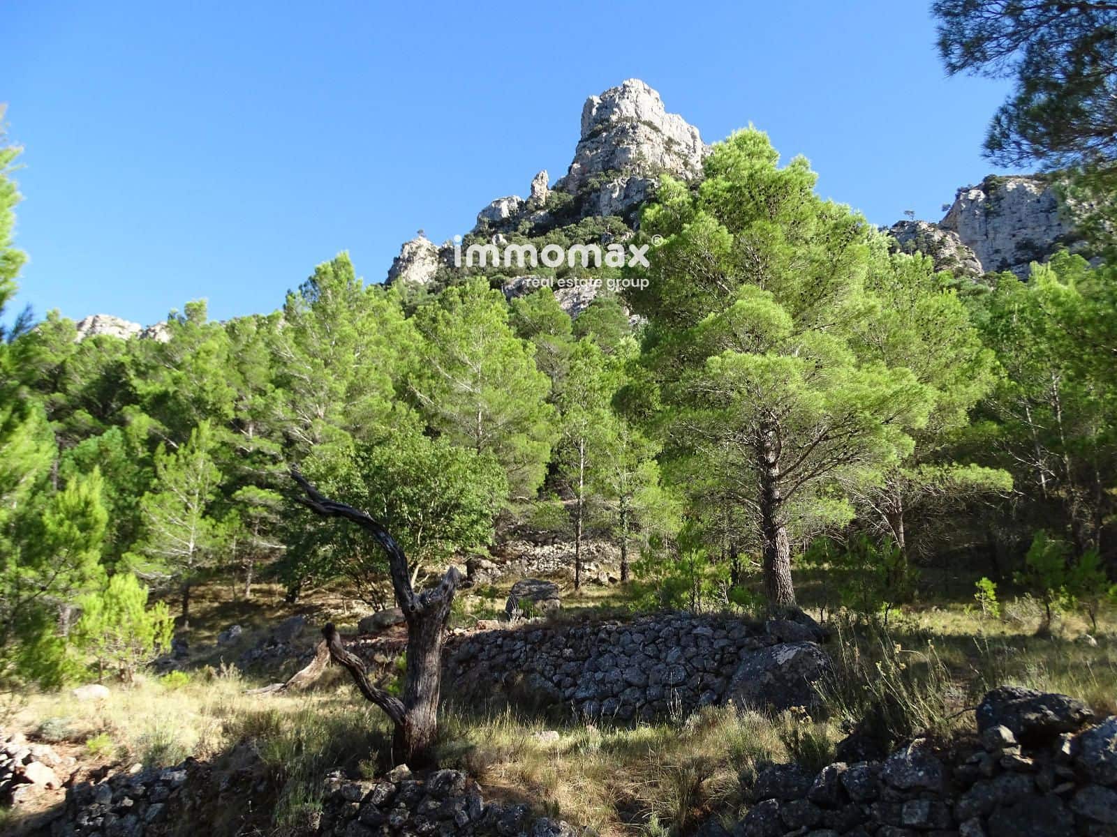 Ubebygd land til salgs i Pauls - € 66 000 (Ref: 9396739)