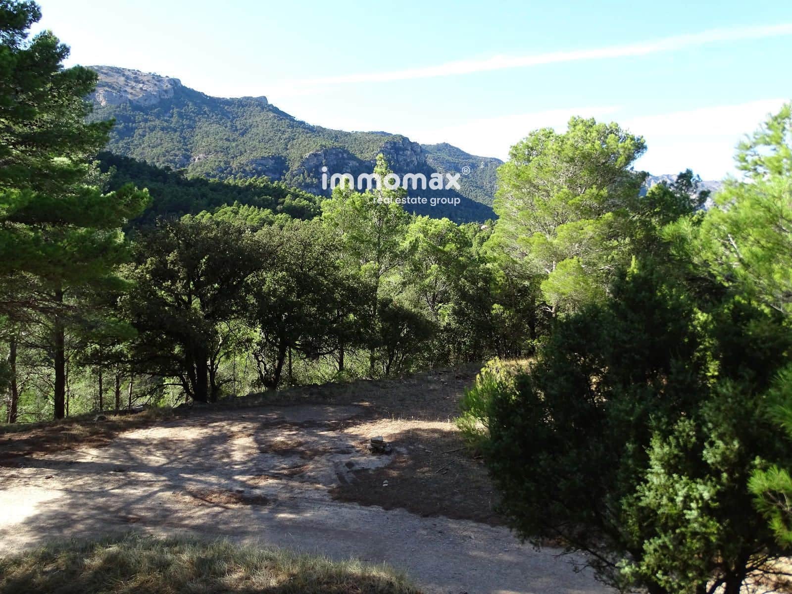 Ubebygd land til salgs i Pauls - € 66 000 (Ref: 9396739)