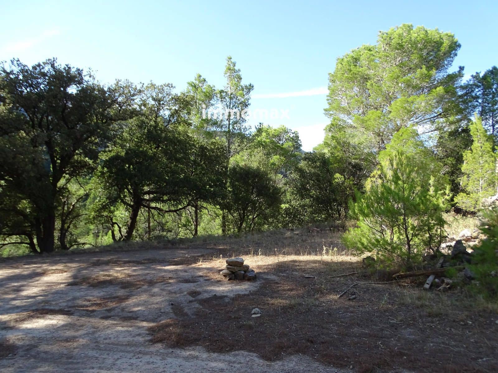 Ubebygd land til salgs i Pauls - € 66 000 (Ref: 9396739)