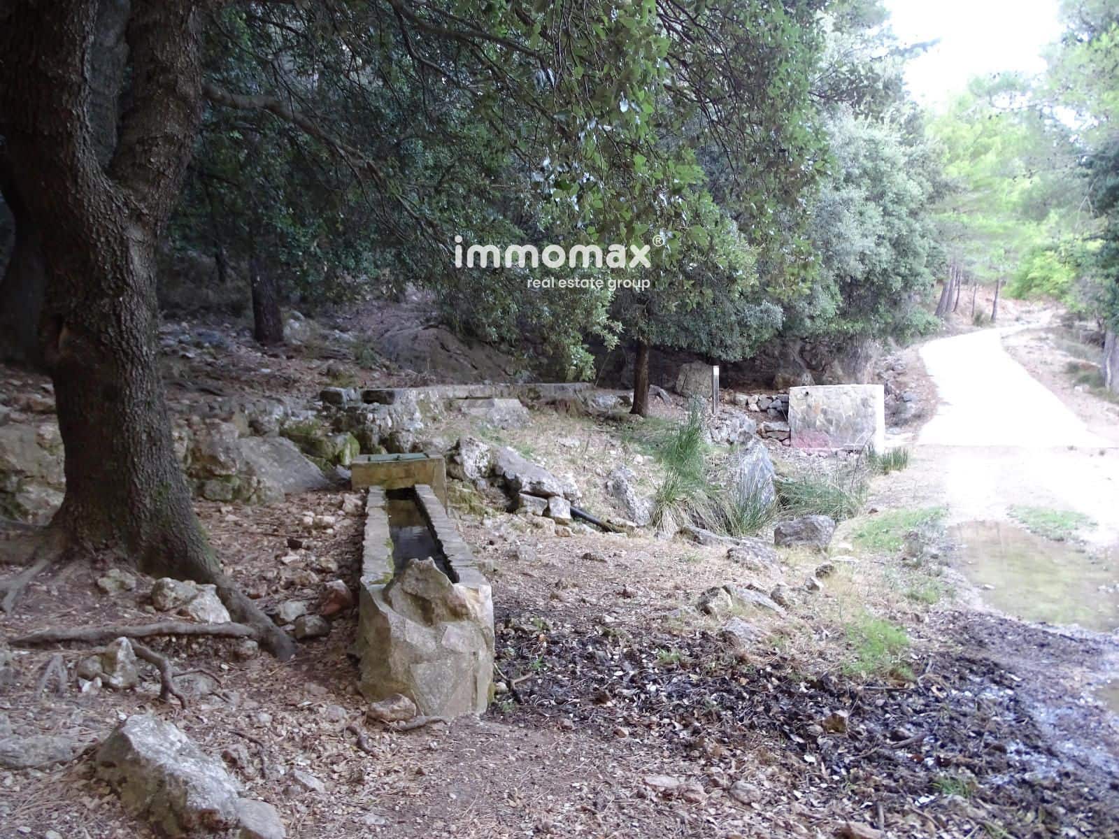 Ubebygd land til salgs i Pauls - € 66 000 (Ref: 9396739)