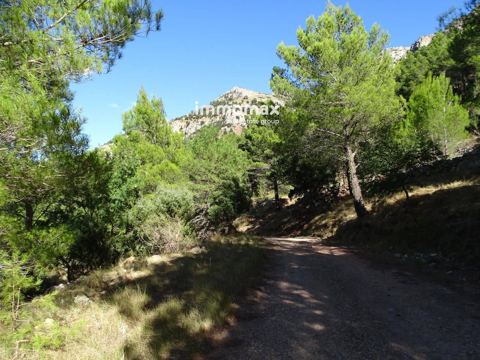 Ubebygd land til salgs i Pauls - € 66 000 (Ref: 9396739)