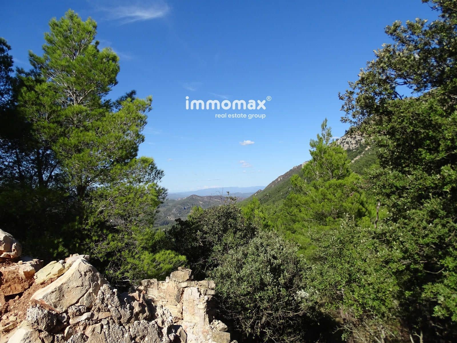 Ubebygd land til salgs i Pauls - € 66 000 (Ref: 9396739)