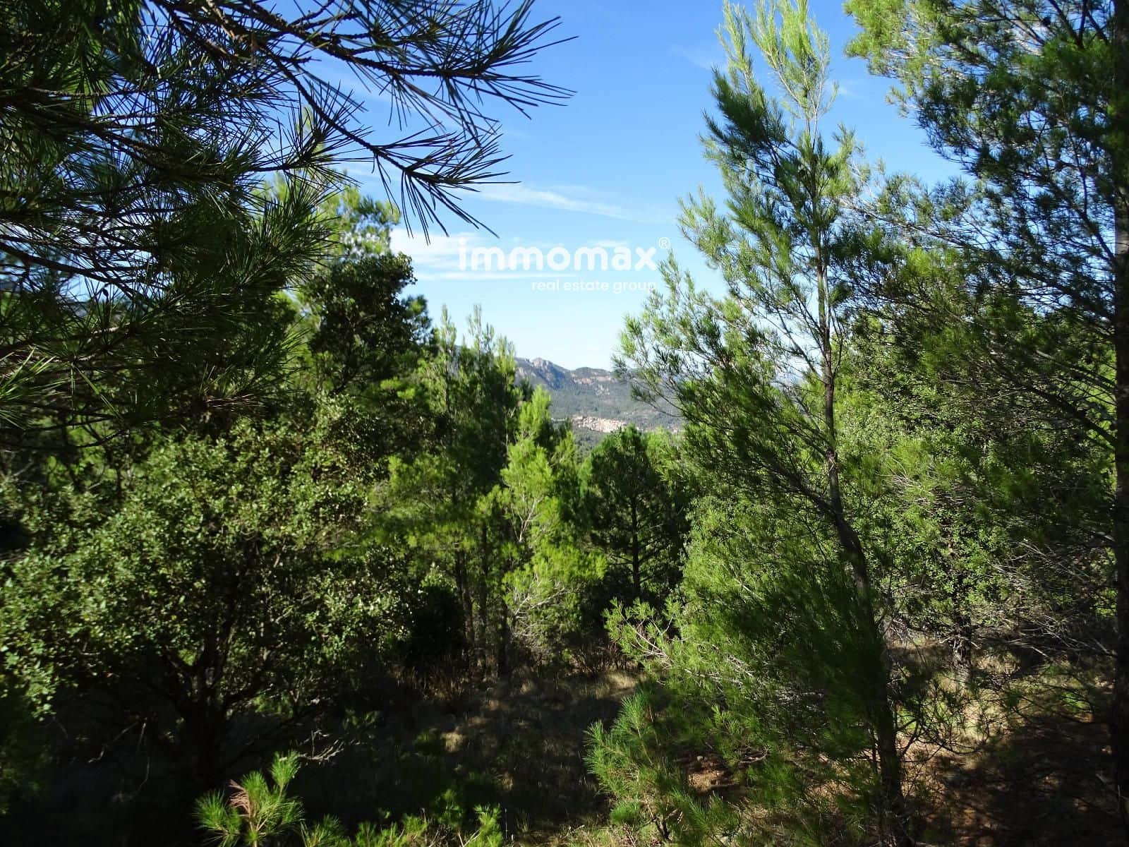 Ubebygd land til salgs i Pauls - € 66 000 (Ref: 9396739)