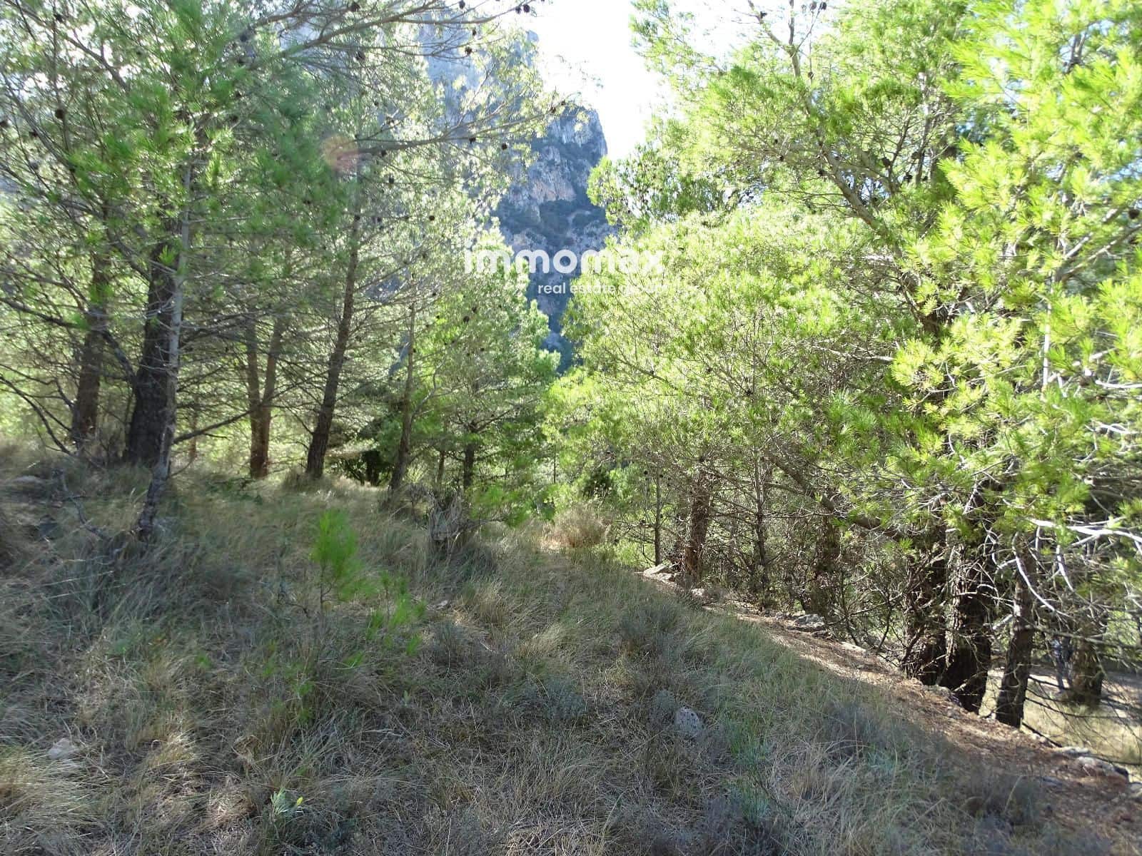 Ubebygd land til salgs i Pauls - € 66 000 (Ref: 9396739)