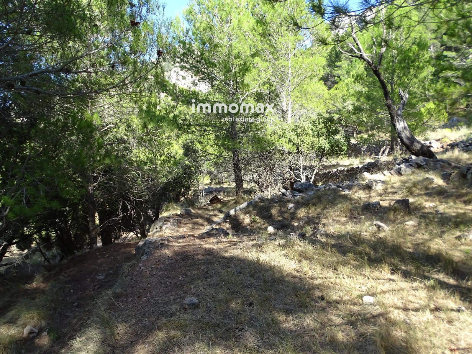 Ubebygd land til salgs i Pauls - € 66 000 (Ref: 9396739)