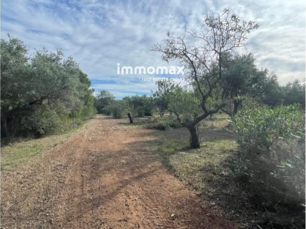 Grunde uden byggetilladelser til salg i Aldover - € 217.000 (Ref: 9396741)