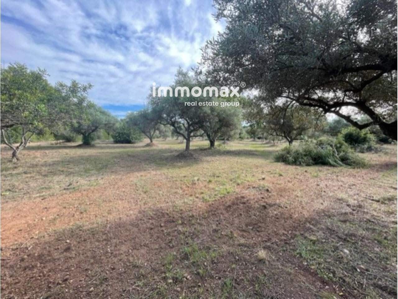 Grunde uden byggetilladelser til salg i Aldover - € 217.000 (Ref: 9396741)