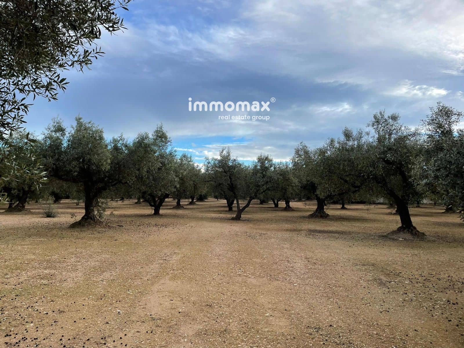 Terre non Aménagée à vendre à Vinallop - 36 000 € (Ref: 9500392)