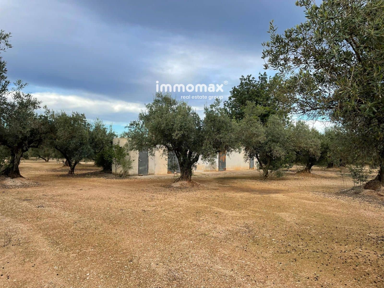 Terre non Aménagée à vendre à Vinallop - 36 000 € (Ref: 9500392)