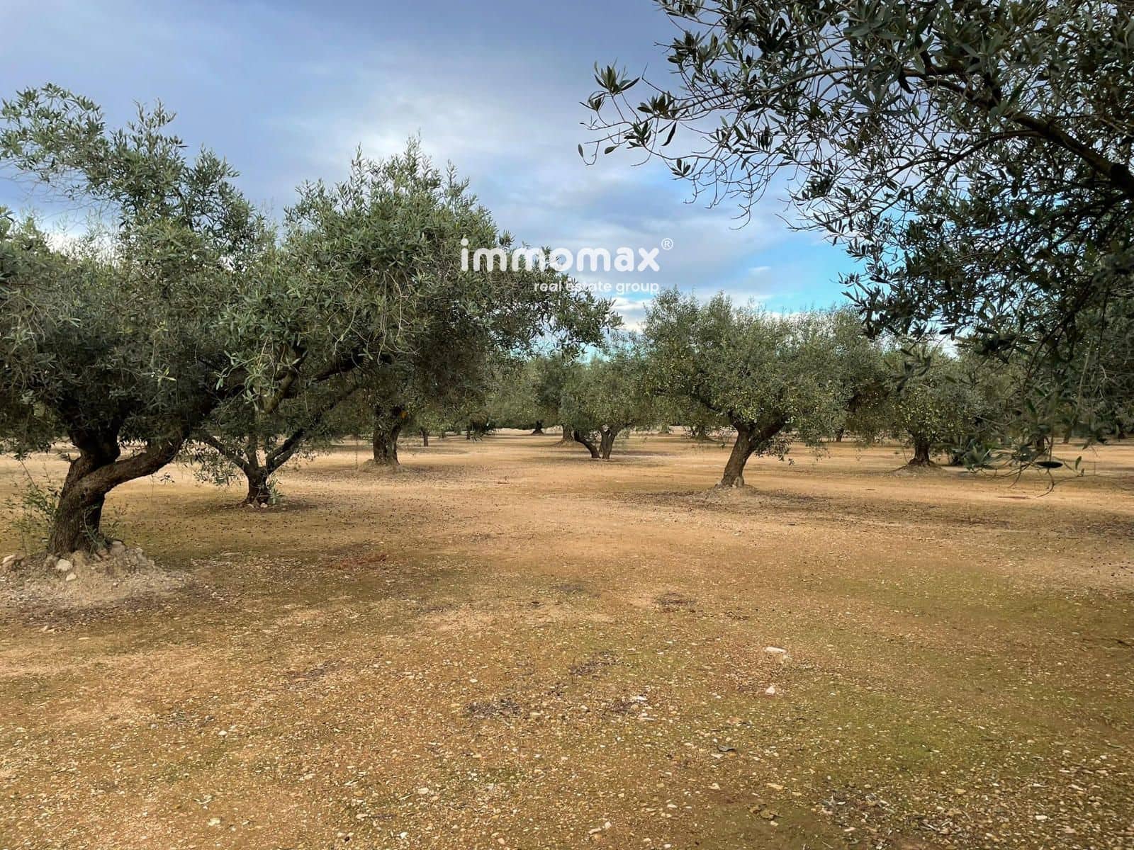 Terre non Aménagée à vendre à Vinallop - 36 000 € (Ref: 9500392)