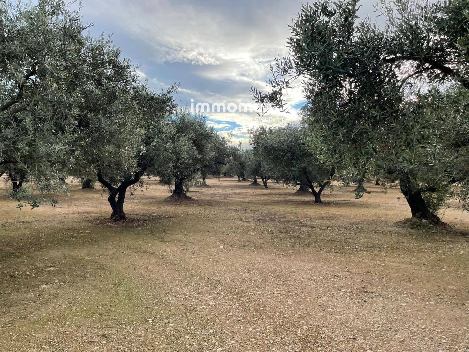 Terre non Aménagée à vendre à Vinallop - 36 000 € (Ref: 9500392)