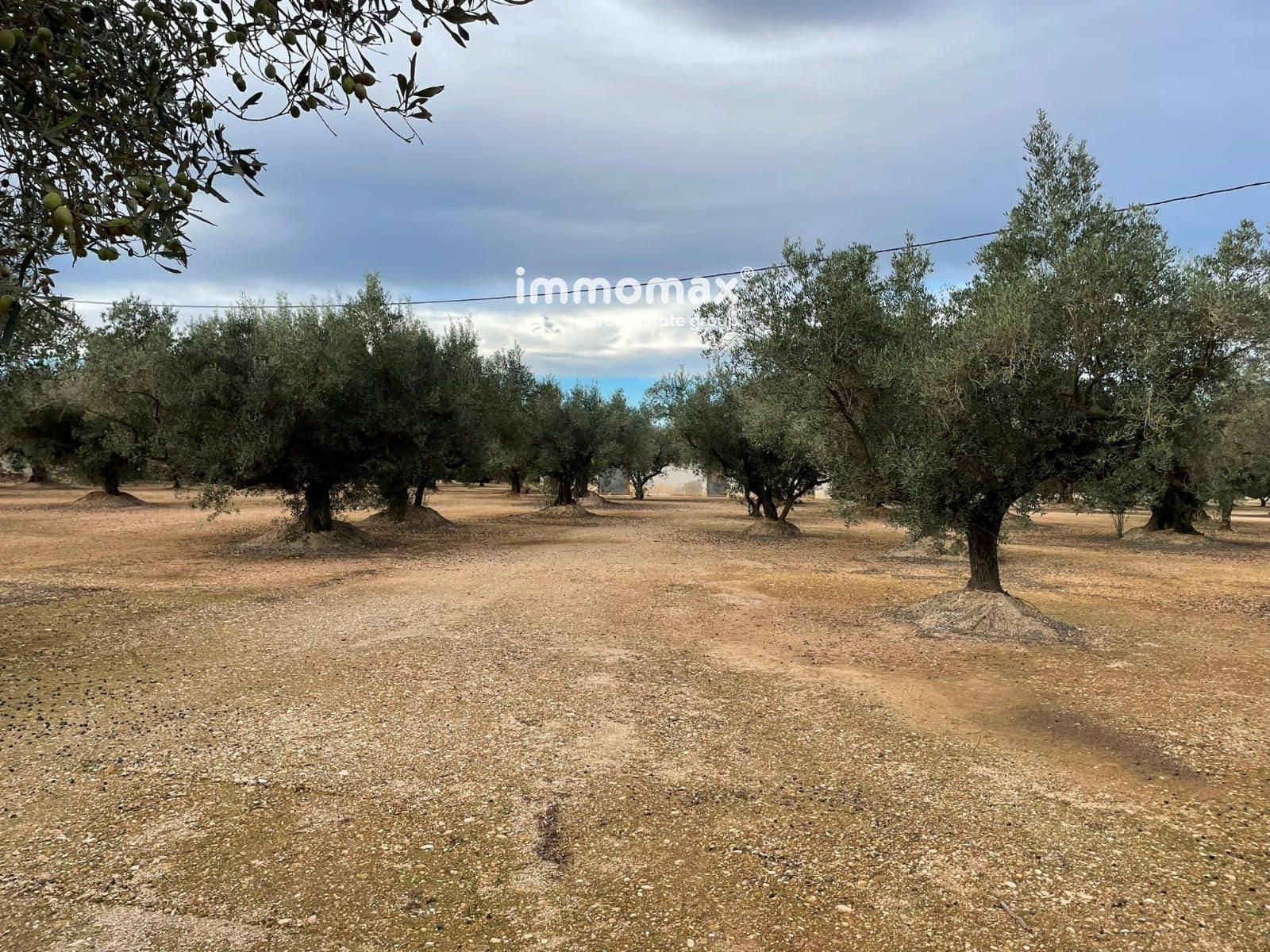 Terre non Aménagée à vendre à Vinallop - 36 000 € (Ref: 9500392)