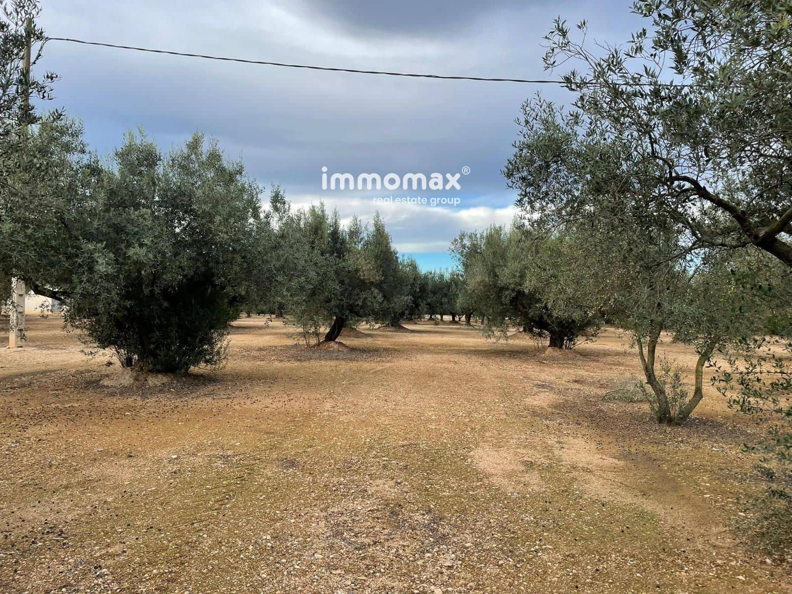 Terre non Aménagée à vendre à Vinallop - 36 000 € (Ref: 9500392)