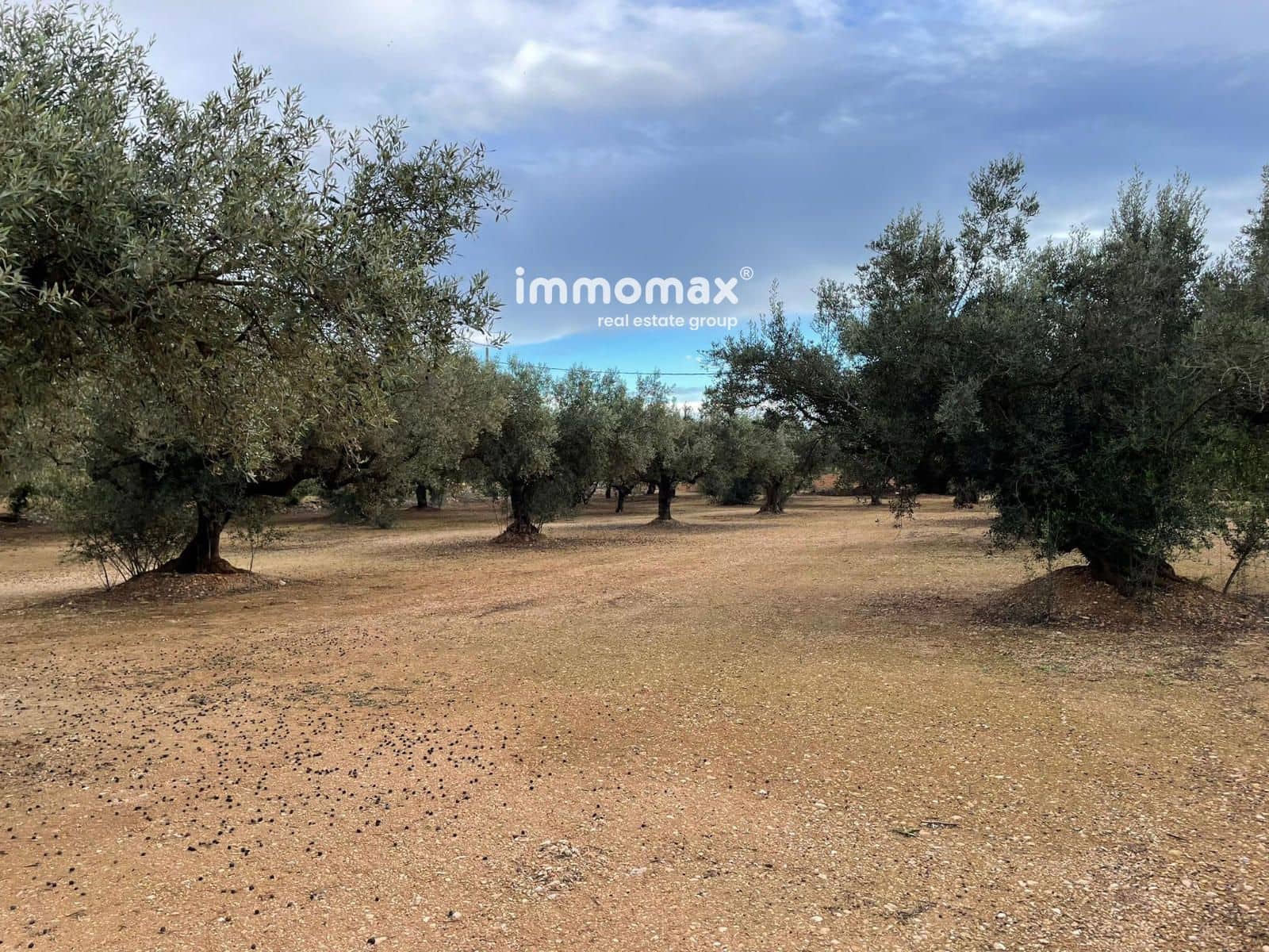 Terre non Aménagée à vendre à Vinallop - 36 000 € (Ref: 9500392)