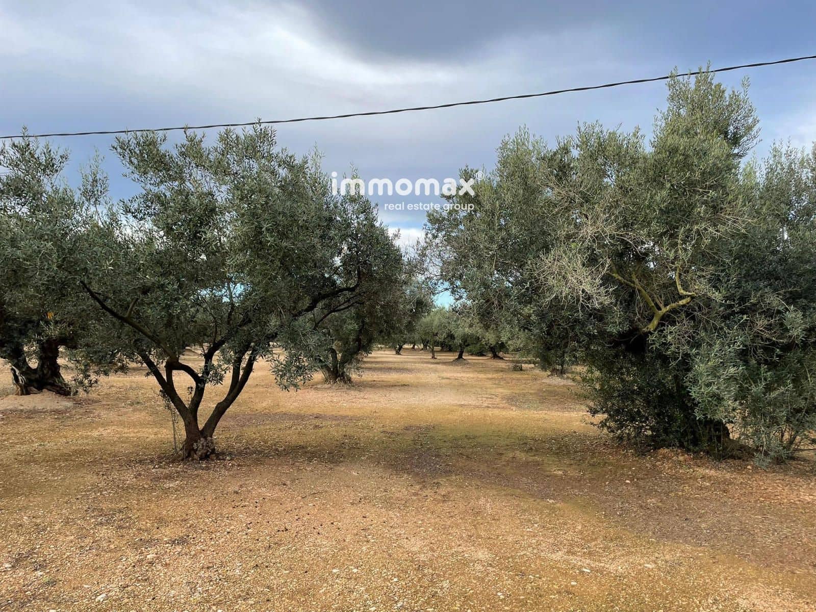 Terre non Aménagée à vendre à Vinallop - 36 000 € (Ref: 9500392)