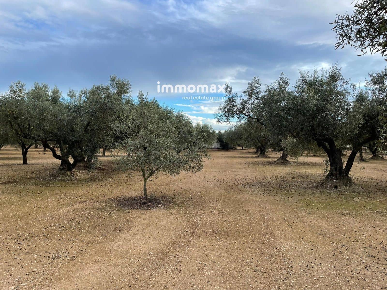 Terre non Aménagée à vendre à Vinallop - 36 000 € (Ref: 9500392)