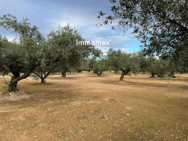 Terre non Aménagée à vendre à Vinallop, Tortosa - 36 000 € (Ref: 9500392)