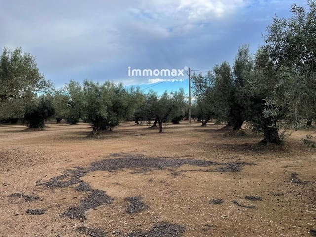 Terre non Aménagée à vendre à Vinallop, Tortosa - 36 000 € (Ref: 9500392)
