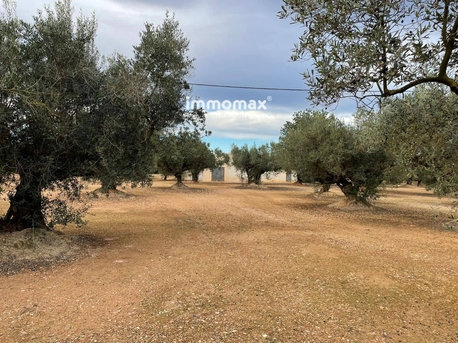 Terre non Aménagée à vendre à Vinallop - 36 000 € (Ref: 9500392)