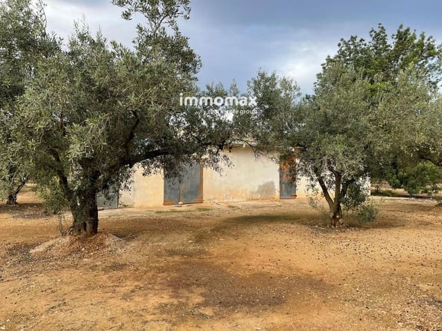 Terre non Aménagée à vendre à Vinallop, Tortosa - 36 000 € (Ref: 9500392)