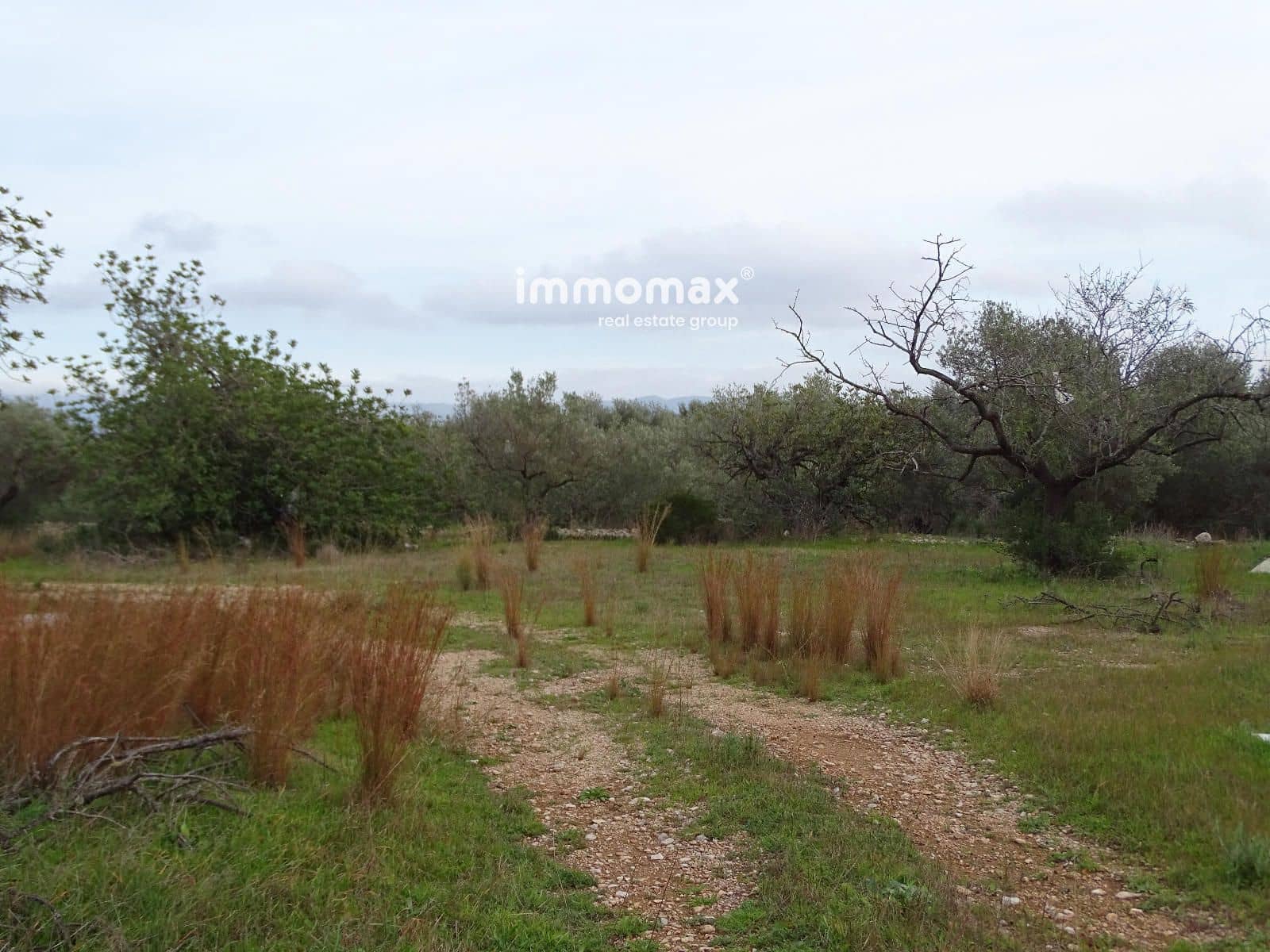 Terreno Não Urbanizado para venda em Roquetes - 92 000 € (Ref: 9539058)