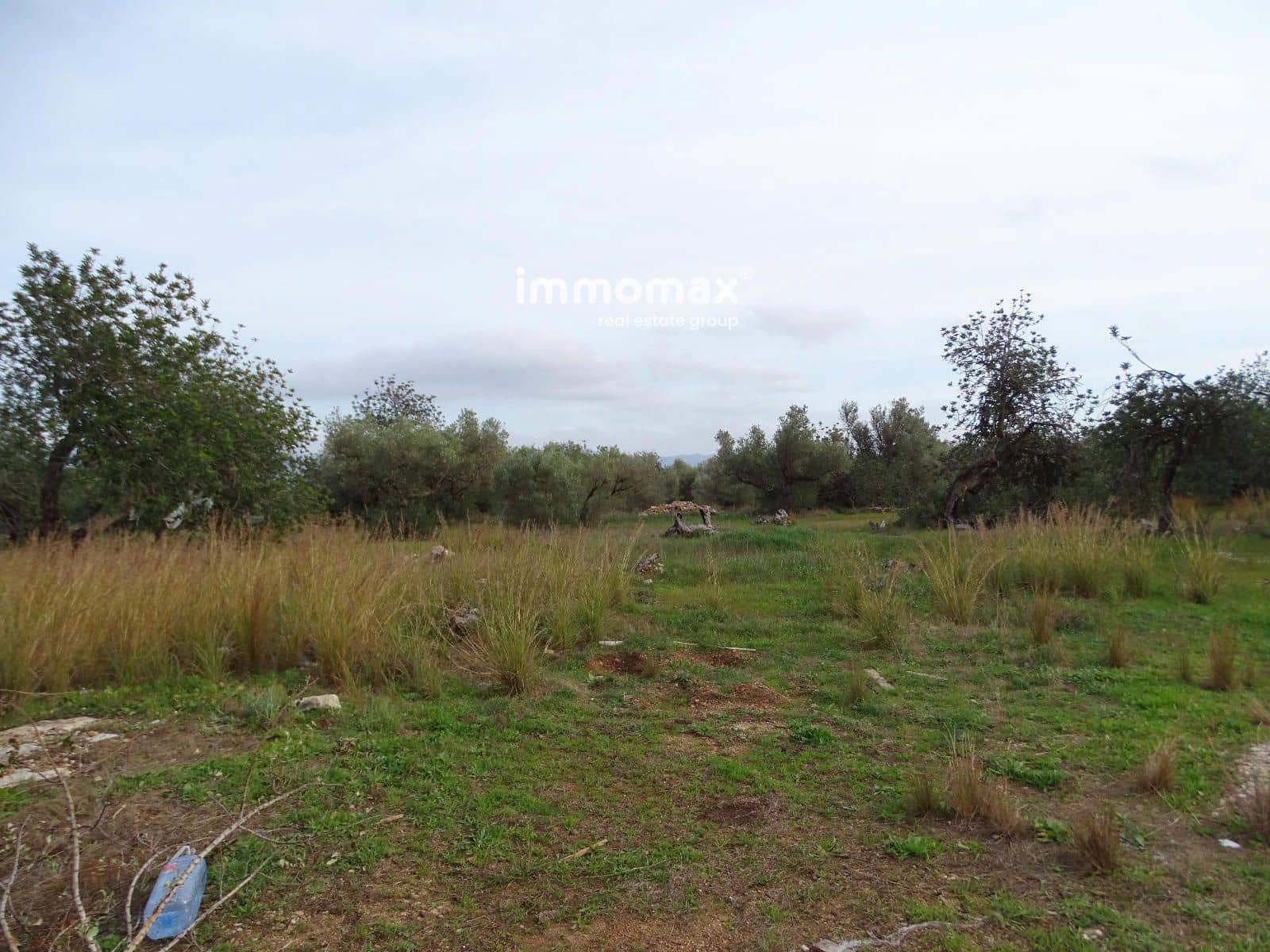 Terreno Não Urbanizado para venda em Roquetes - 92 000 € (Ref: 9539058)