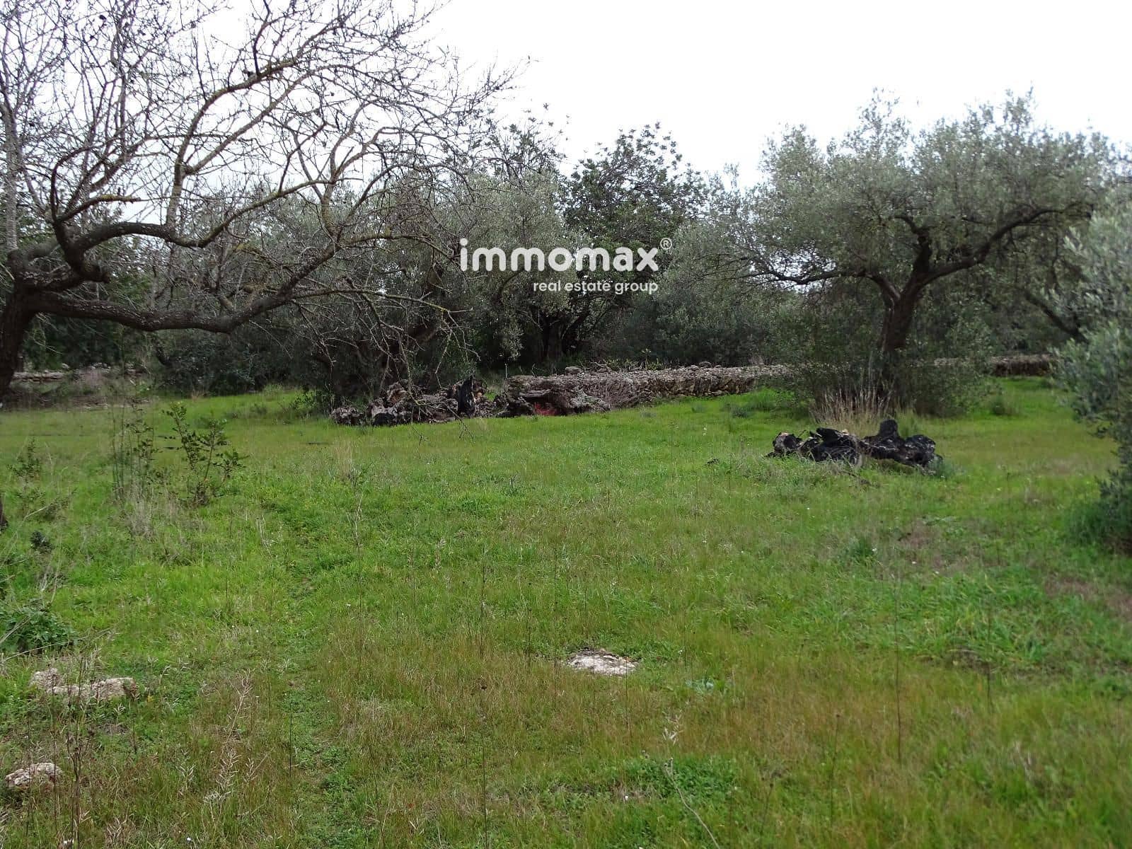 Terreno Não Urbanizado para venda em Roquetes - 92 000 € (Ref: 9539058)